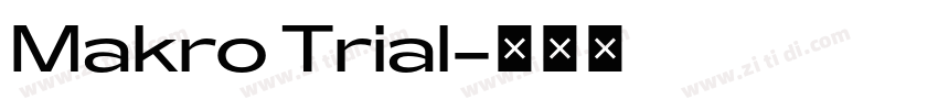 Makro Trial字体转换